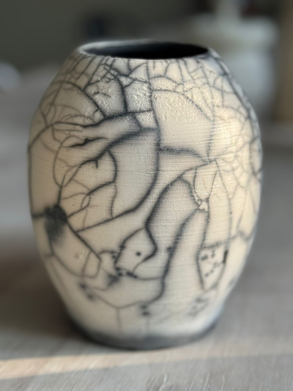 Horse hair Raku and Sugar IV